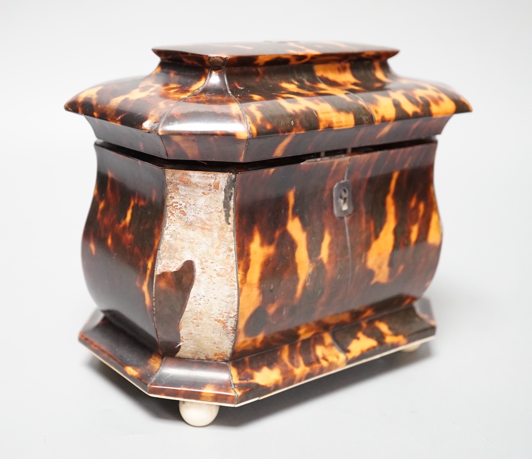 A Regency tortoiseshell bombe shaped two division tea caddy on ivory ball feet (Lid detached, requires restoration) - 18cm wide